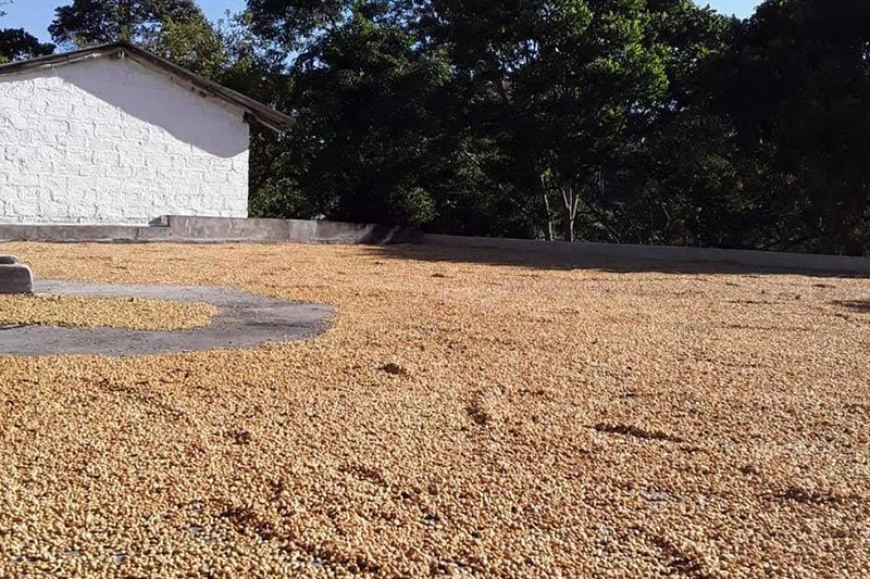 finca santa maria 1