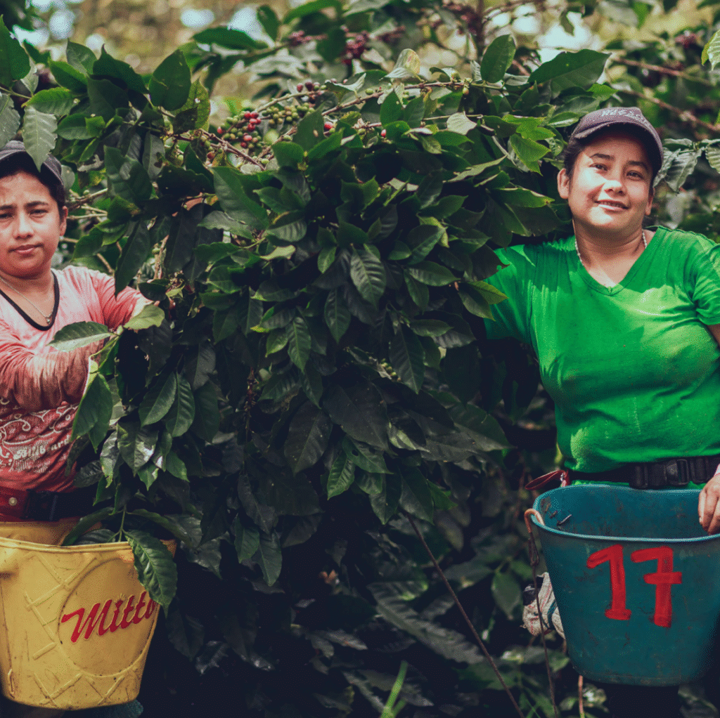 finca santa maria gal 1